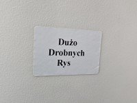 DRZWI PRZÓD LEWE KIEROWCY Renault Clio III 5d TEB76