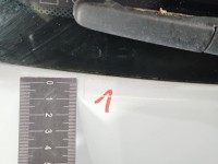 Klapa tył Renault Clio III HB 3d OV369