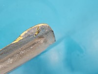 Wygłuszenie maski PODBITKA Kia Carens III 06-13