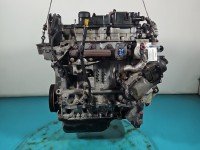 Silnik Ford Focus Mk3 1.6 tdci (T3DA) FILM POMIAR
