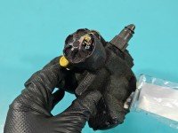 Pompa wtryskowa Ford Focus Mk2 4M5Q9B395AE 1.8 tdci