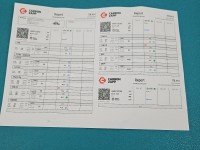 TESTOWANY Wtryskiwacz Citroen C4 picasso I 06-13 0445110259 1.6 hdi