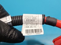 KLEMA INSTALACJA WIĄZKA PLUSOWA PLUS BMW X6 E71 9217003, 10688710