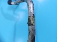 Przewód klimatyzacji rurka Porsche Panamera I 970