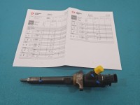 Wtryskiwacz Citroen C4 Grand picasso I 06-13 0445110297 1.6 HDi