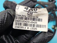 Instalacja Wiązka drzwi tył prawych Opel Zafira C 20803914