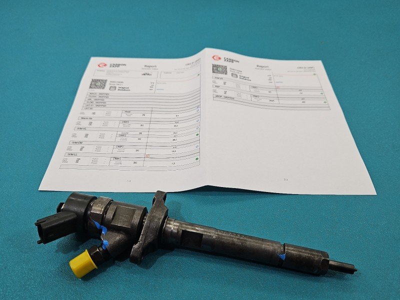 TESTOWANY Wtryskiwacz Citroen C4 picasso I 06-13 0445110259 1.6 hdi