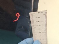 DRZWI PRZÓD PRAWE PASAŻERA Saab 9-3 II 4d stalowy