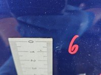 Drzwi przód lewe Fiat Doblo II 5d 487