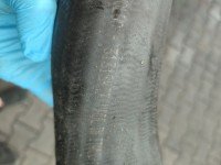 Rura przewód Producent części: Volvo, Benzyna, Europejska, turbo / intercoolera Volvo V60 I 10- 31319473 3.0 T6