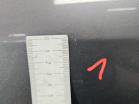 DRZWI PRZÓD LEWE KIEROWCY Renault Clio III 5d TEKNG