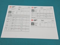 Wtryskiwacz Renault Scenic I 0445110146, 8200238528 1.9 dci