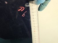 DRZWI PRZÓD PRAWE PASAŻERA Vw Passat B7 5d granatowy LH5X/ Z2Z2