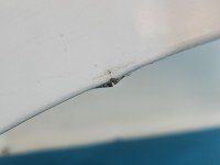 Błotnik przód lewy Peugeot 207 biały EWP
