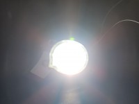 Halogen lewy Toyota Corolla E21 19- 190585