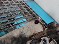 Amortyzator przód prawy przedni Opel Insignia A