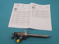 Wtryskiwacz Citroen Berlingo II 0445110311 1.6 HDi
