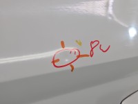 Drzwi tył lewe Skoda Fabia III HB 5d LF9E-9P9P