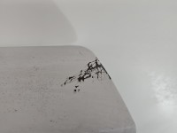 Drzwi tył lewe Renault Kangoo I HB 5d