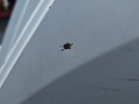 Błotnik tył lewy ćwiartka Skoda Octavia III LF9E kombi
