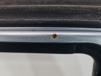 Drzwi tył lewe Honda CR-V II HB 5d NH623M