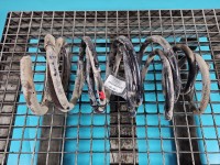 Sprężyny przód komplet Fiat Scudo II 06- 2.0 jtd