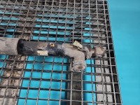 Amortyzator tył lewy Opel Insignia A kombi tylny