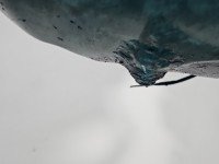 Silnik Vw Crafter 06- 2.5 tdi 109KM ODPALANY FILM POMIAR