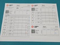 TESTOWANY Wtryskiwacz Hyundai Tucson III 15-20 0445110582, 33800-2F600 2.0 crdi