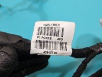 Instalacja Wiązka drzwi przód prawych Peugeot 3008 II 9823044980