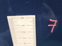 DRZWI PRZÓD PRAWE PASAŻERA Ford Focus Mk3 5d granatowy rf