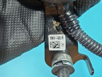 Pas bezpieczeństwa przód prawy pasażera Honda CR-V V 16- NSB1093