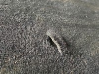 Fotel tył lewy III rząd tylny Mercedes W212 3 rząd