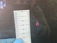 DRZWI PRZÓD PRAWE PASAŻERA Peugeot 301 4d brązowy kcmc