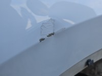 Błotnik tył prawy Vw Tiguan II 16- LC9AL ćwiartka