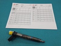 Wtryskiwacz BMW X5 E70 3.0d 0445116024