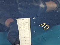 DRZWI PRZÓD PRAWE PASAŻERA Fiat Grande Punto 3d