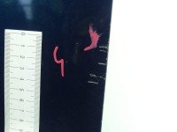 DRZWI PRZÓD LEWE KIEROWCY MAZDA 5 05- 5d morski 32C