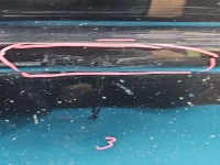 Drzwi tył prawe Audi A3 8L HB 5d LY9B