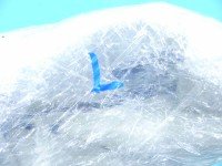Kurtyna lewa poduszka airbag Volvo V40 II 12-