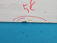 DRZWI PRZÓD PRAWE PASAŻERA Peugeot Partner I 5d EWPA