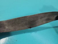 Pas bezpieczeństwa przód lewy kierowcy Citroen Berlingo II 96815086ZH EU