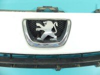 Atrapa grill Peugeot Expert II