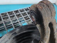 Piasta koła tył lewa zwrotnica łożysko Hyundai Ix35 09-13 2.0 16V