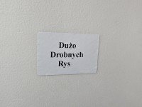 DRZWI PRZÓD PRAWE PASAŻERA Nissan Note E11 5d R10 G