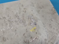 Osłona Hyundai Elantra VII 20- 1.6 16V