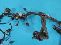 InstalacJa Wiązka silnika 91290-F2540AA, 91855-F2621A 1.6 16V Hyundai Elantra VI 15-20