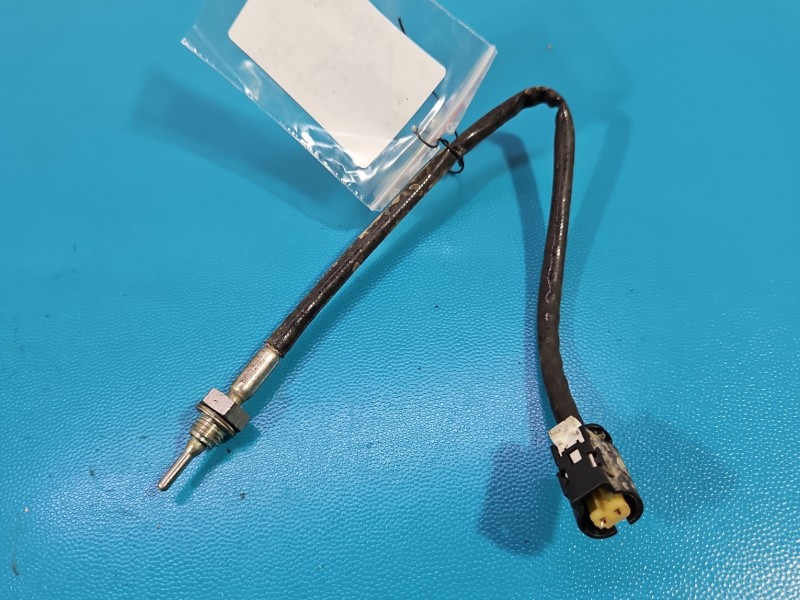 Czujnik temperatury spalin BMW X3 G01 2.0d 8589664, 072800-0790