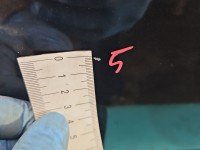 DRZWI PRZÓD PRAWE PASAŻERA Opel Signum 5d czarny