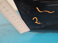 Drzwi tył prawe Honda Jazz II HB 5d